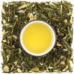 Sencha Opuncia