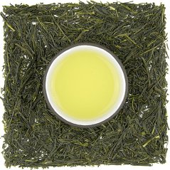 Hamamatsu Yamacha Sencha (Yabukita)