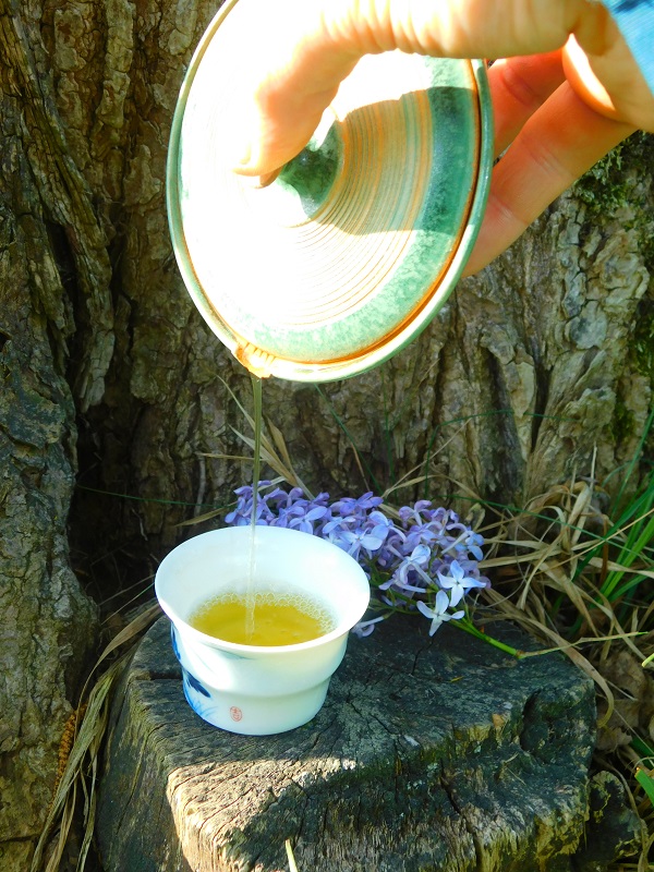 Shizuoka Sencha Fuji