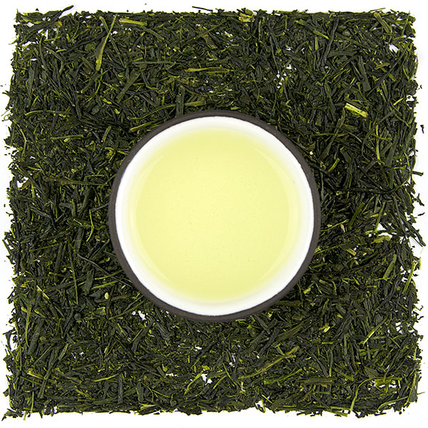 Gyokuro Kabusé