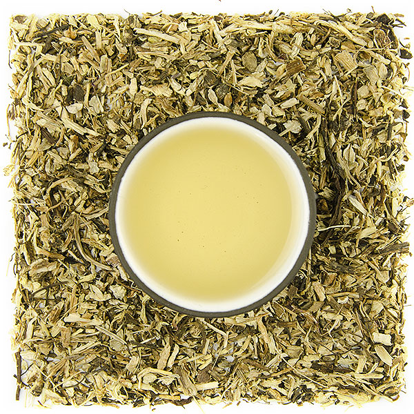 Echinacea - koreň - Velikost balení: 50 g