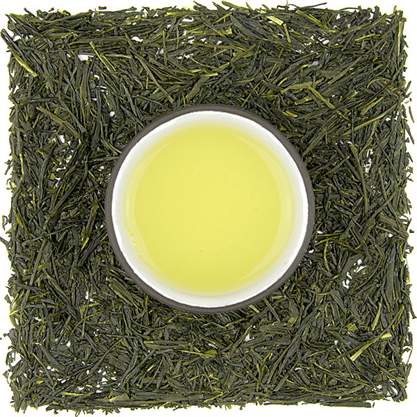 Hamamatsu Yamacha Sencha (Yabukita)