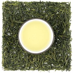 Shibushi Fukamushi Sencha