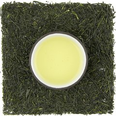 Shizuoka Shincha Gyokuro Homare