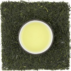 Shizuoka Shincha Gyokuro Homare