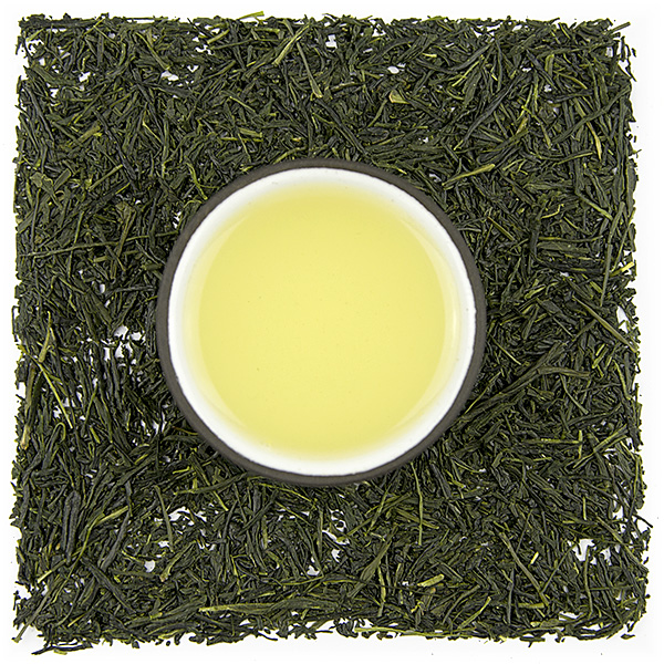 Shizuoka Gyokuro Asahi