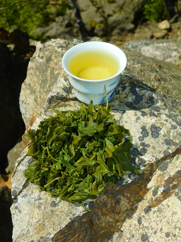 Korea Seogwang Sencha
