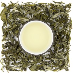 Fuding Lu Mu Tan - Zelená pivonka