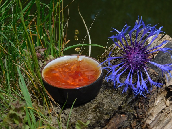 Darjeeling TGFOP1 Margaret Hope SF