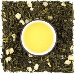 Sencha MoiLone
