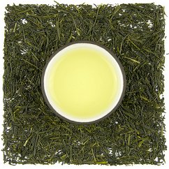 Shizuoka Numazu Shincha (Yabukita)