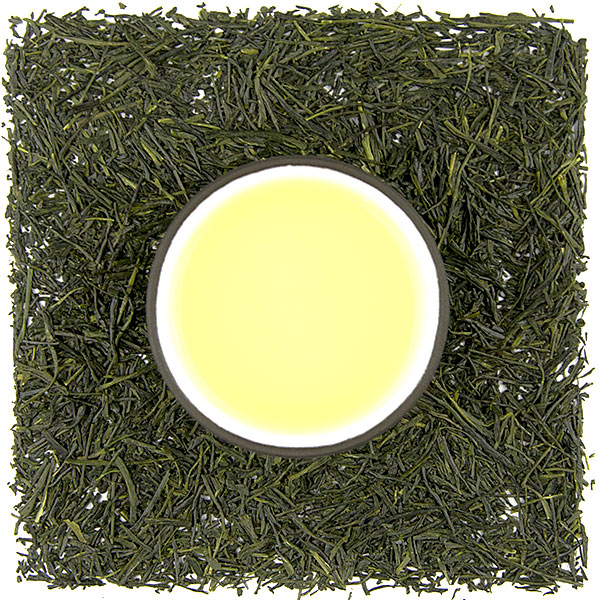 Shizuoka Shincha Gyokuro UMAMI