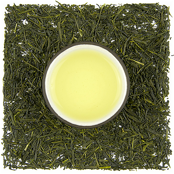 Shizuoka Numazu Shincha (Yabukita)