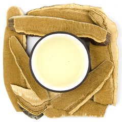 Lesklokôrka - huba Reishi