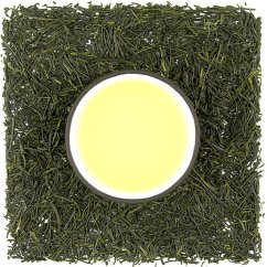 Shizuoka Shincha Gyokuro UMAMI