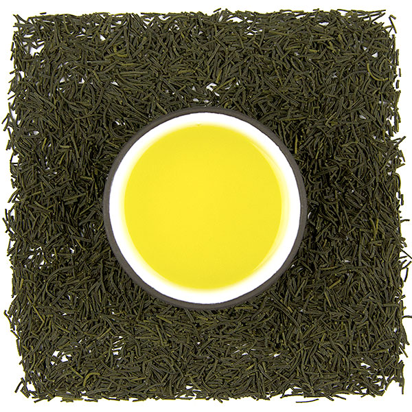 Shizuoka Kokeicha Special