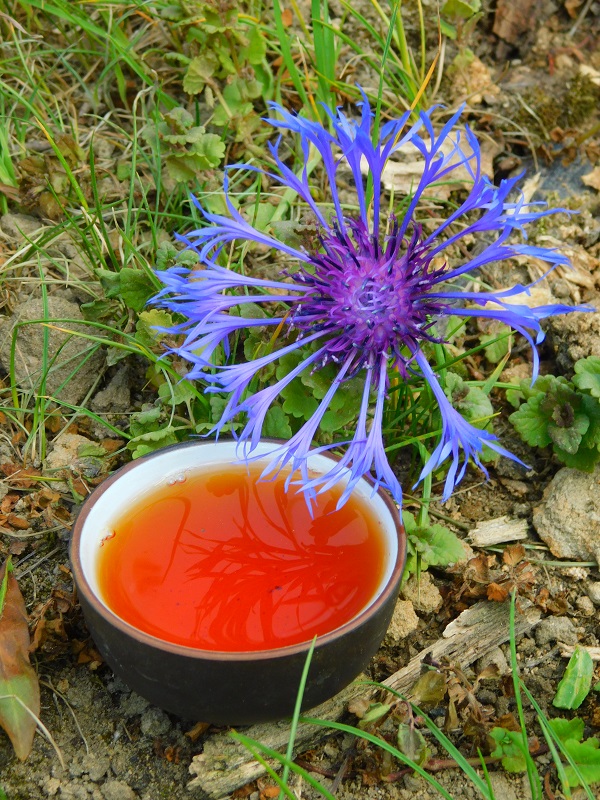 Darjeeling TGFOP1 Margaret Hope SF