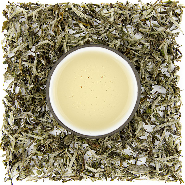 Nepal Himalayan Shangri-La