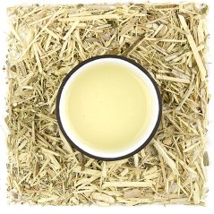 Eleuterokok - sibírsky ženšen