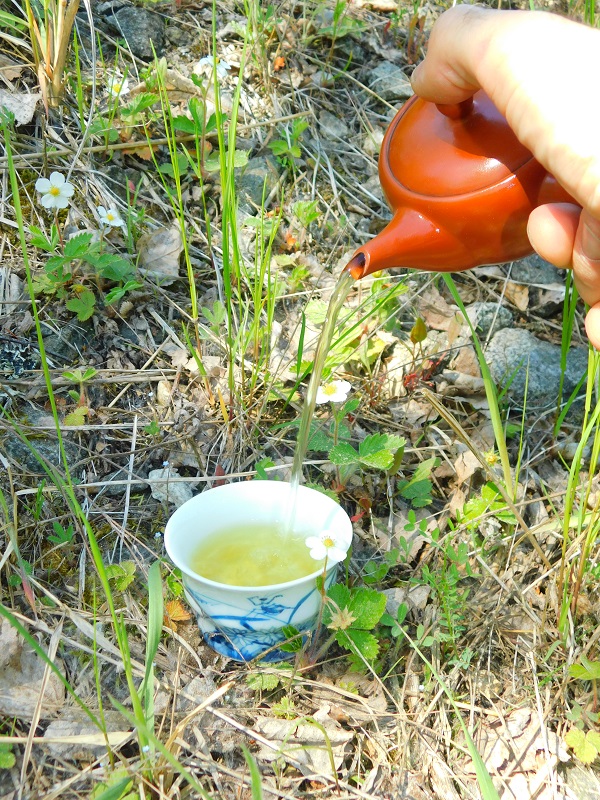 Korea Seogwang Sencha