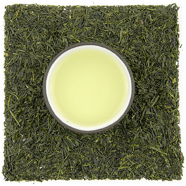 Miyazaki Sugiyama Sencha