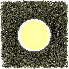 Shizuoka Shincha Gyokuro UMAMI