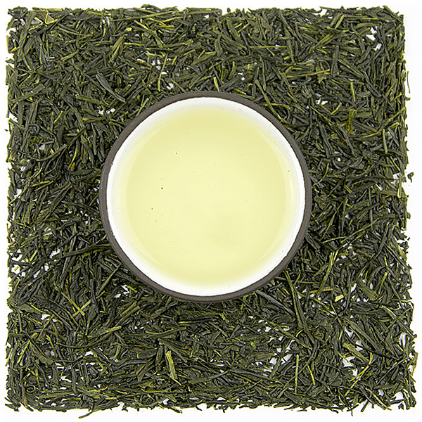 Ichiriyama Asamushicha