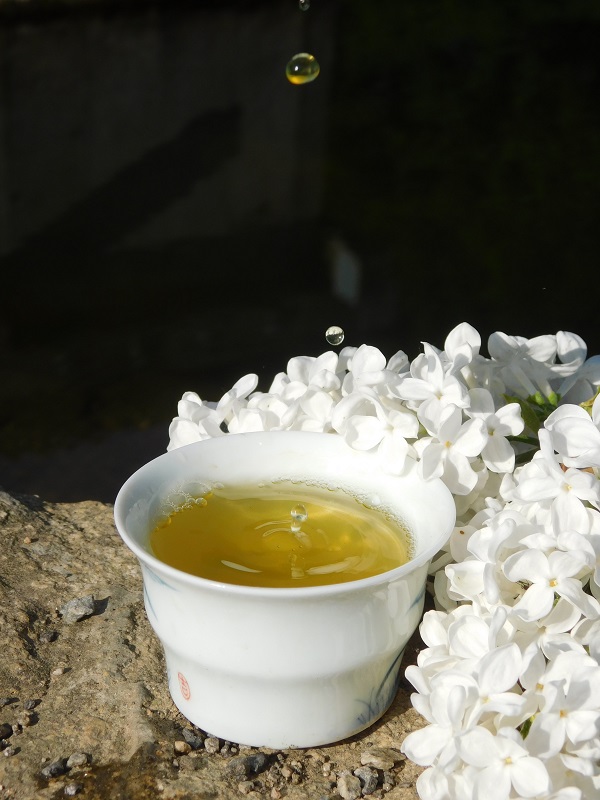 Shizuoka Sencha Fuji