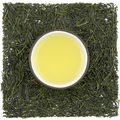 Miyazaki Kabusecha Okumidori