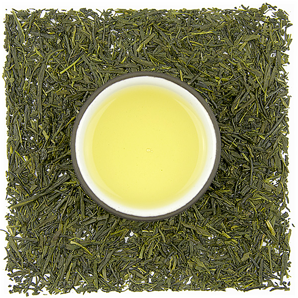 Haruno Sencha Kurumi (Yabukita)