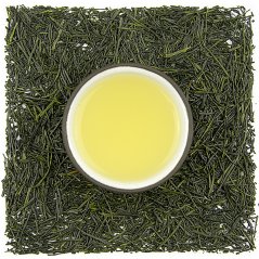 Miyazaki Kabusecha Okumidori