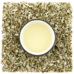 Cetraria islandica (islandský lišajník, pľuzgierka islandská)