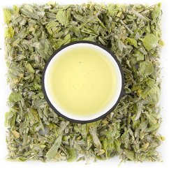 Grécky horský čaj - Hojník sýrsky