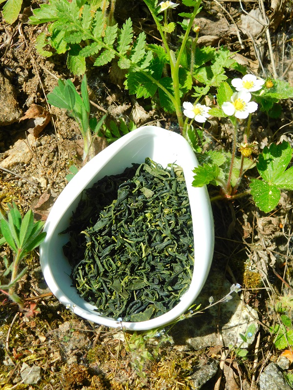 Korea Seogwang Sencha